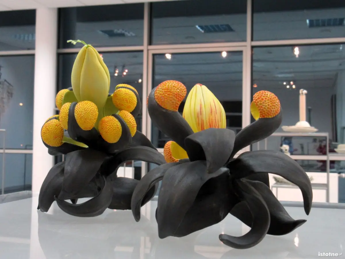 "Zapylanie międzynarodowe" CJ Jilek (USA) 2011