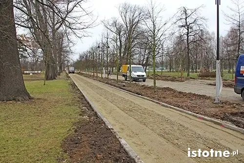 Aleja Orła Białego pięknieje