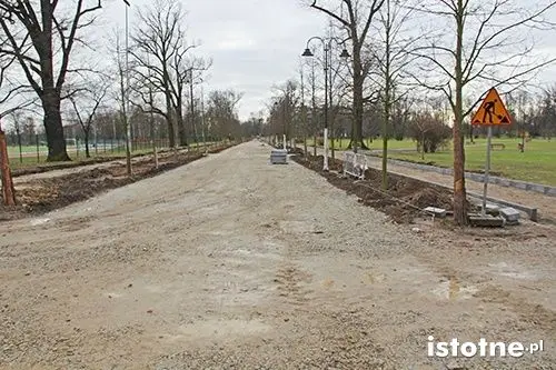 Aleja Orła Białego pięknieje