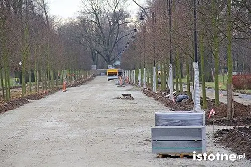 Aleja Orła Białego pięknieje