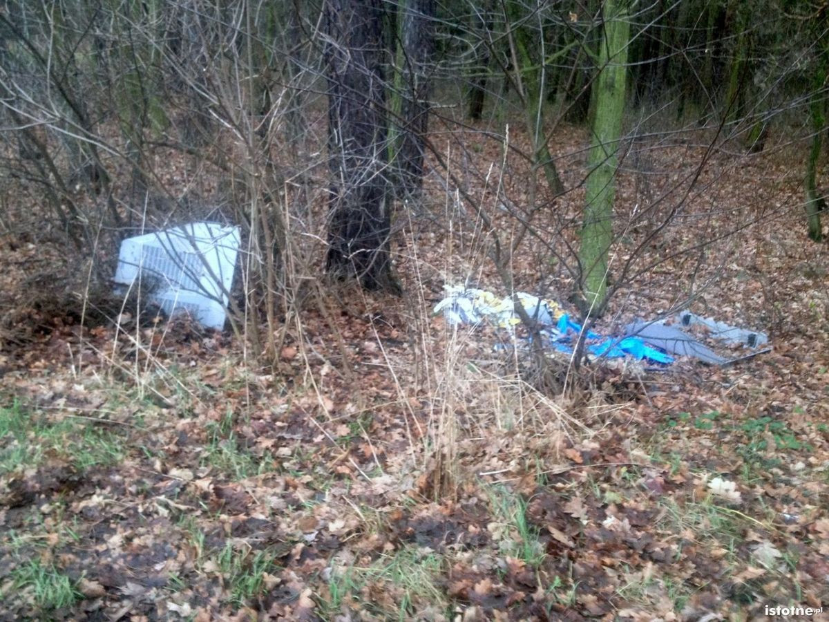 Nielegalne wysypisko w okolicy Dobrej