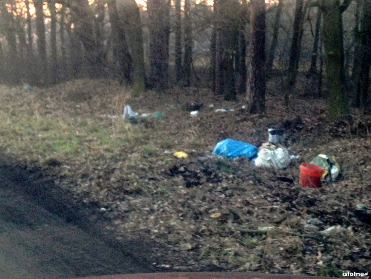 Nielegalne wysypisko w okolicy Dobrej