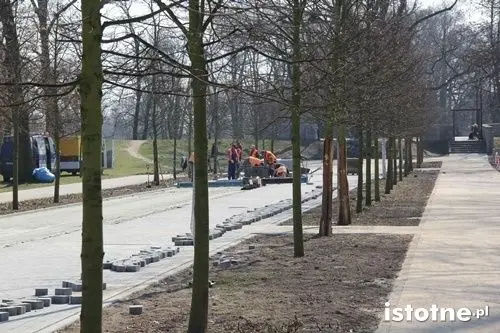 Pięknieją parkowe aleje