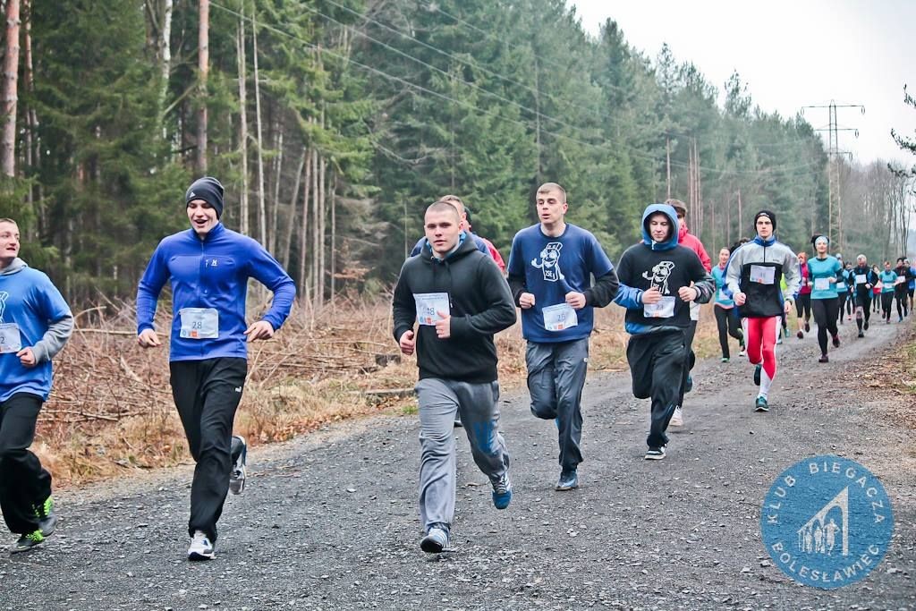 Powiatowa Liga Biegowa