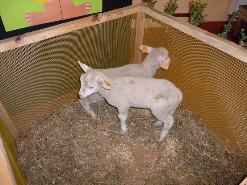 Gminny Konkurs Potraw i Stroików Wielkanocnych