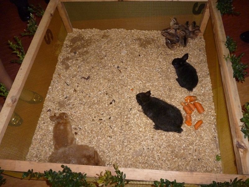 Gminny Konkurs Potraw i Stroików Wielkanocnych