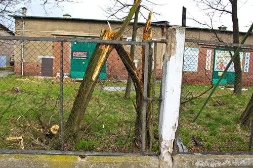 Wichura nie wyrządziła dużych szkód
