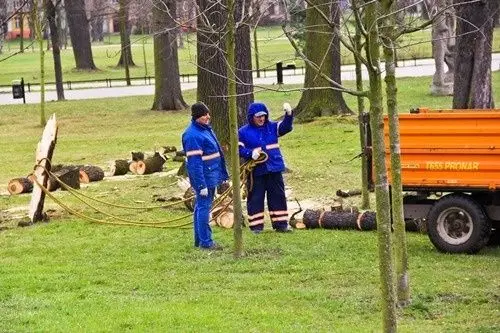 Wichura nie wyrządziła dużych szkód