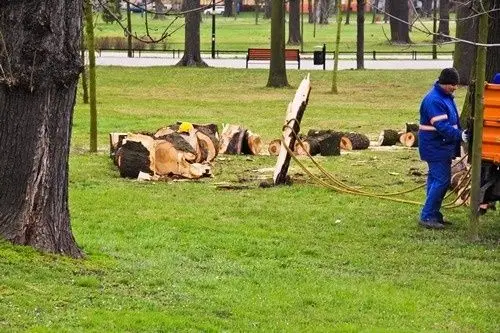 Wichura nie wyrządziła dużych szkód