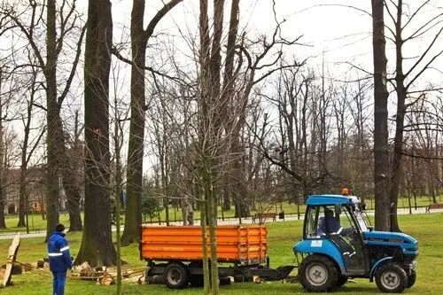 Wichura nie wyrządziła dużych szkód