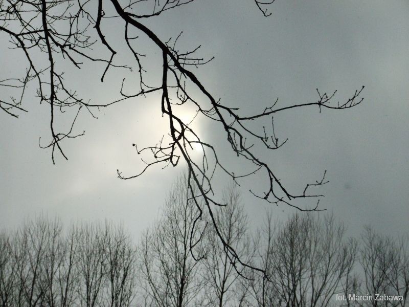 Fotograficzne obrazy przedwiośnia