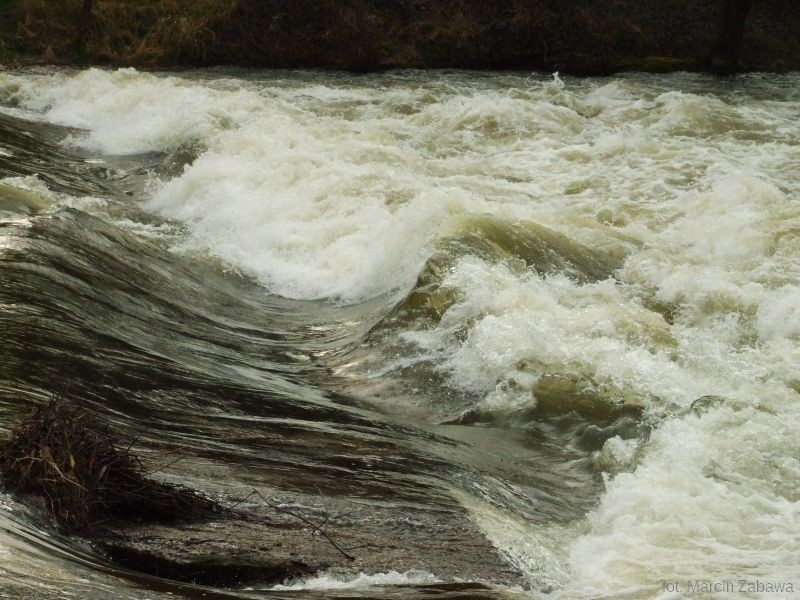 Fotograficzne obrazy przedwiośnia