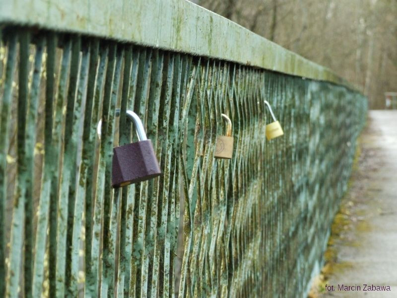 Fotograficzne obrazy przedwiośnia