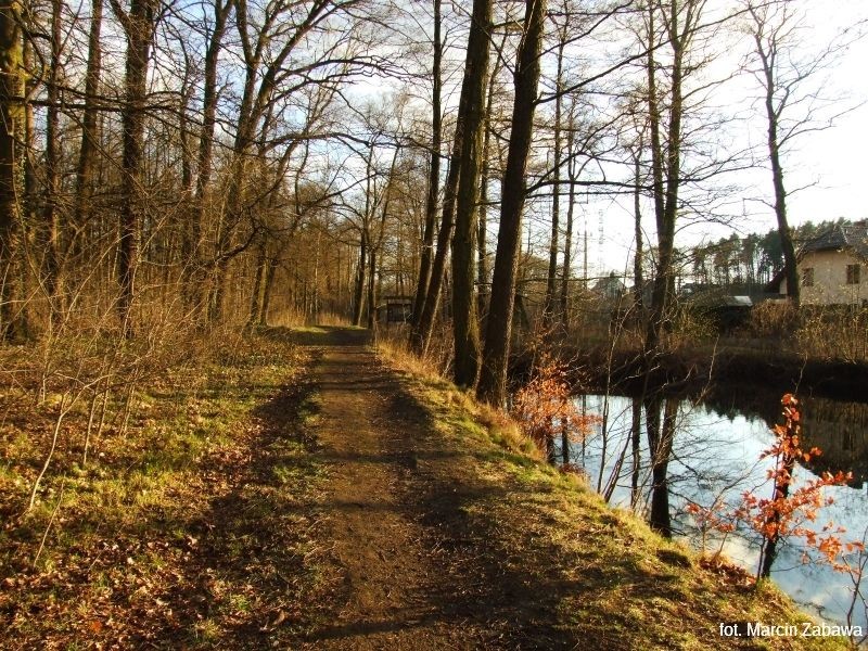 Fotograficzne obrazy przedwiośnia