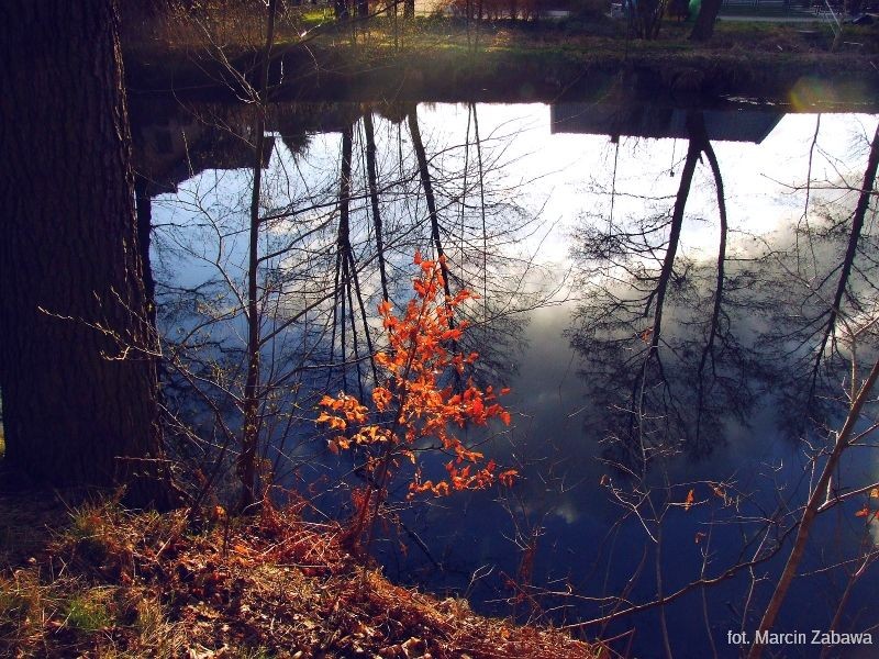 Fotograficzne obrazy przedwiośnia