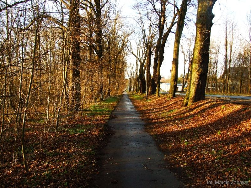 Fotograficzne obrazy przedwiośnia