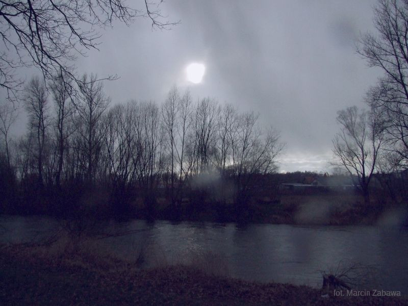 Fotograficzne obrazy przedwiośnia