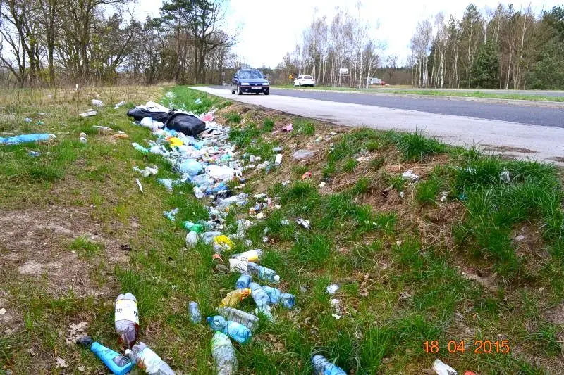 Stara Oleszna