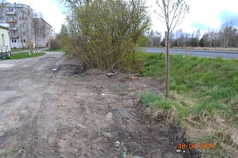 Trzebień