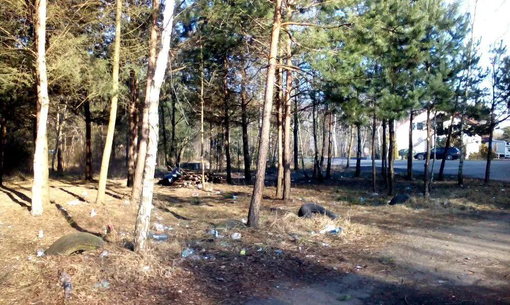 Sami poradzili sobie ze śmieciami