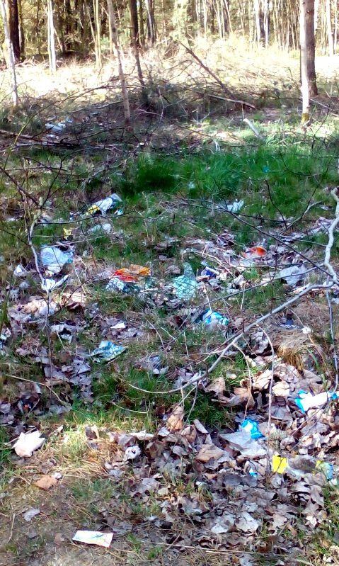 Sami poradzili sobie ze śmieciami