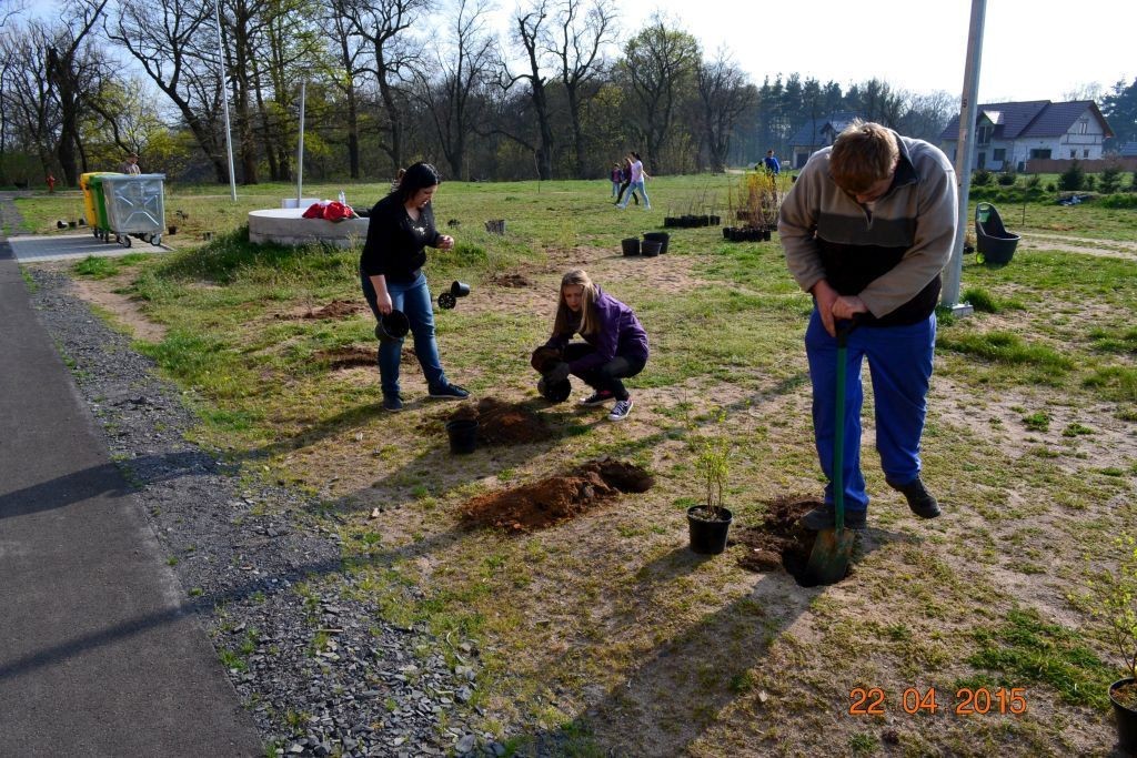 W Trzebieniu pomagają pszczołom!