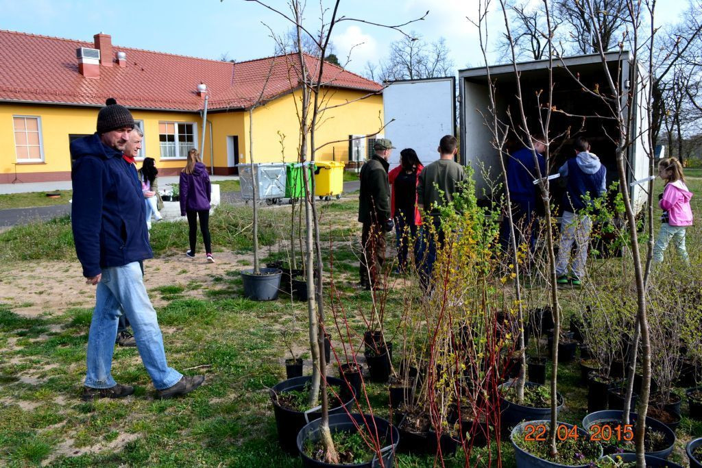 W Trzebieniu pomagają pszczołom!