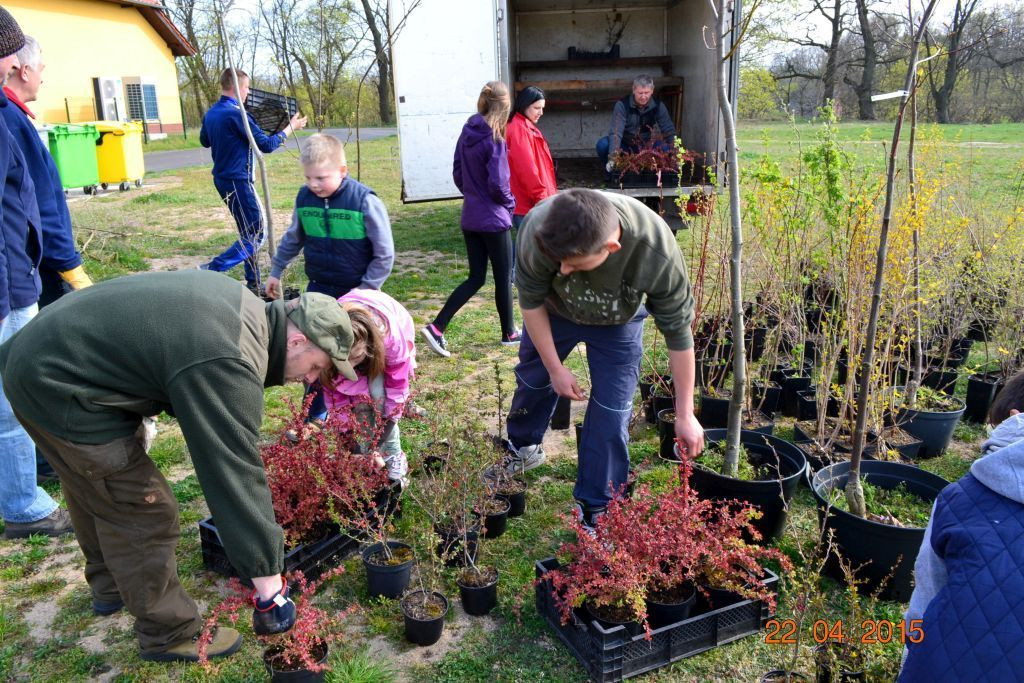 W Trzebieniu pomagają pszczołom!