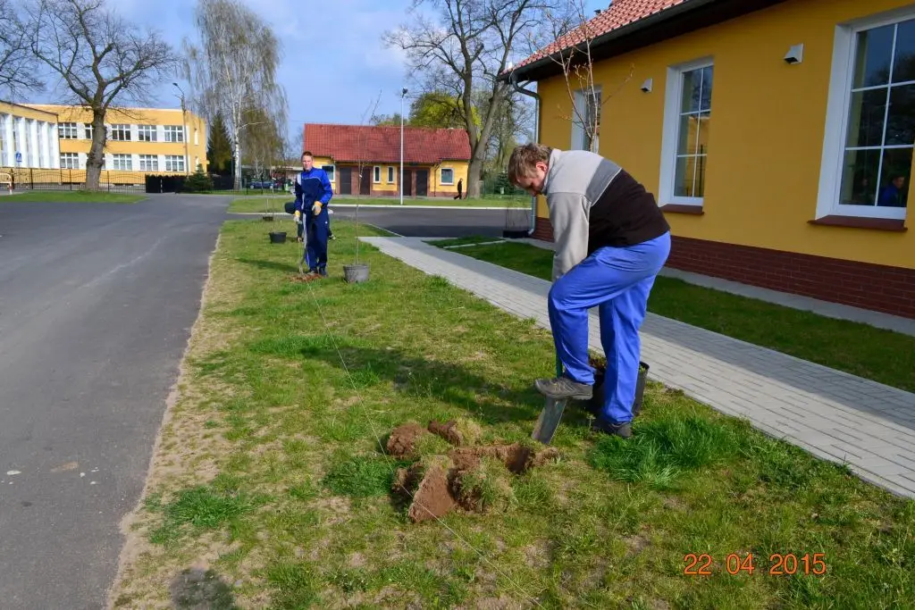 W Trzebieniu pomagają pszczołom!