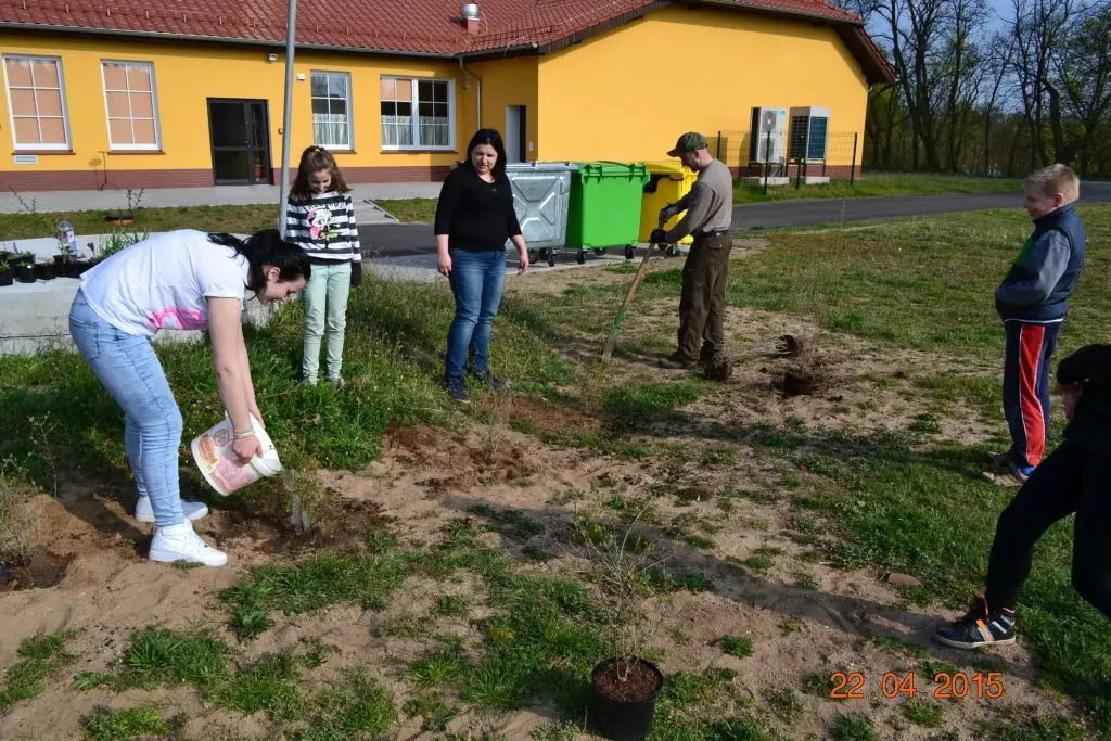 W Trzebieniu pomagają pszczołom!