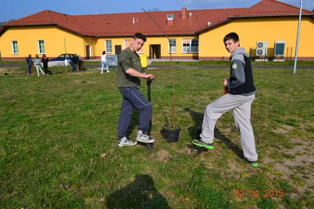 W Trzebieniu pomagają pszczołom!
