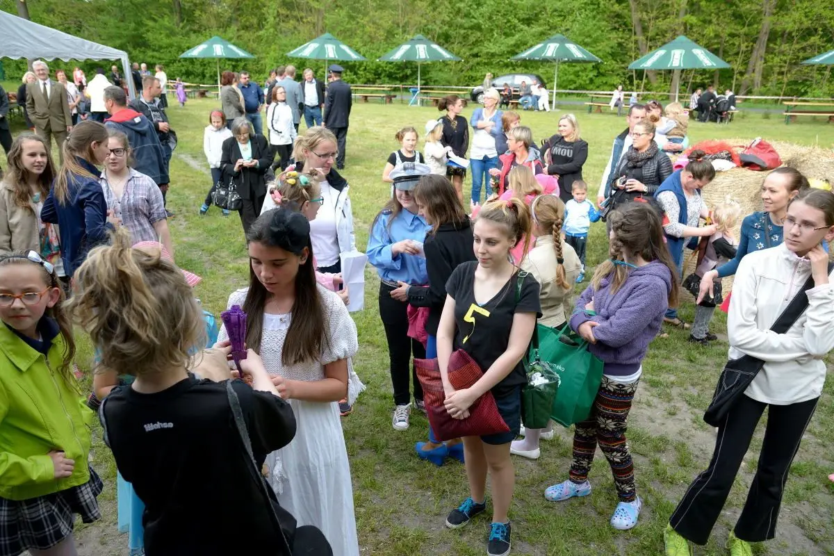 Forest Amphitheater Opened