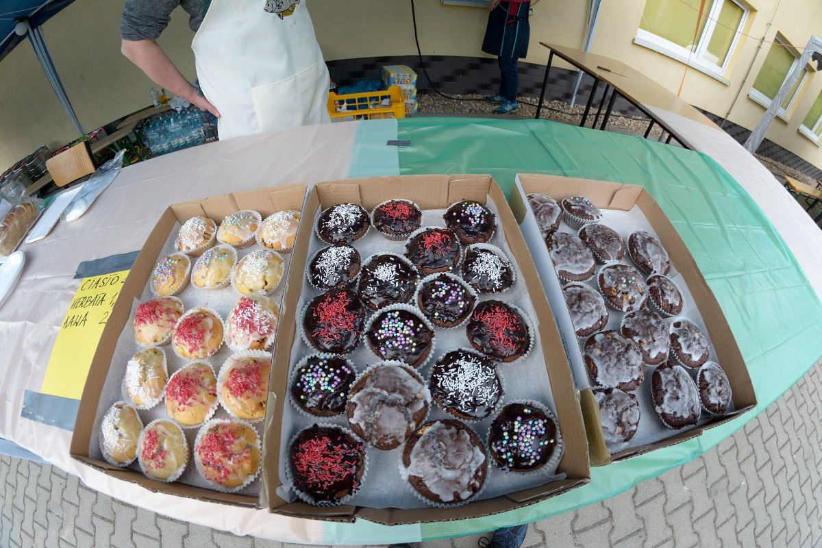 Leśny Amfiteatr otwarty