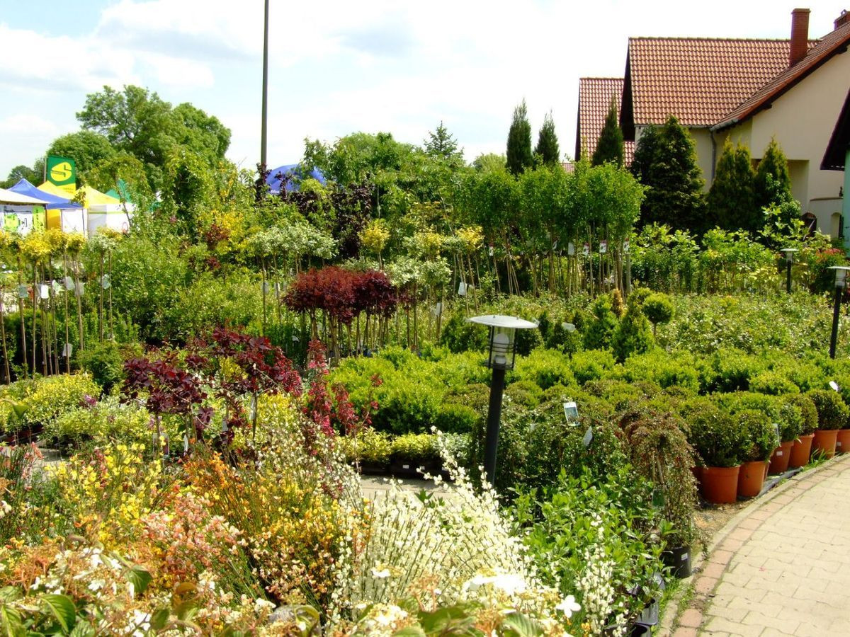 Targi Ogrodniczo-Techniczne w Meduzie