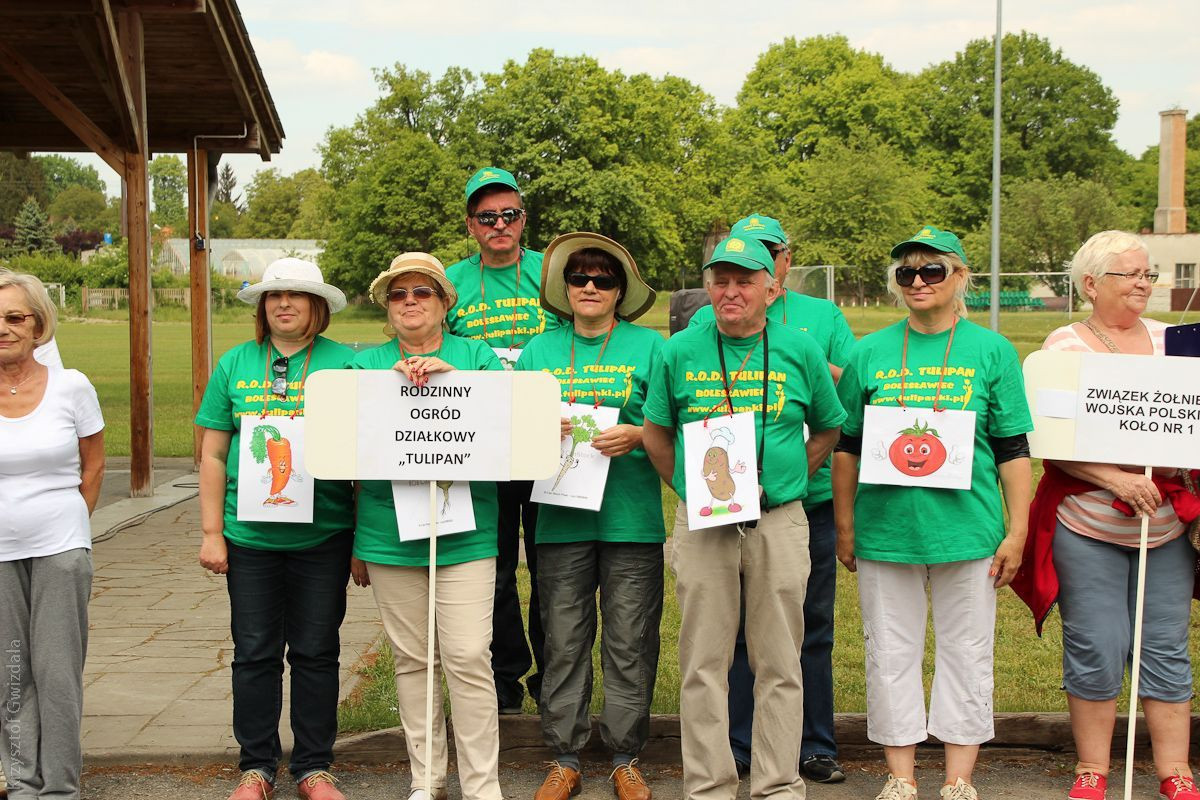 Piąta miejska Olimpiada Seniorów