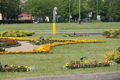 Kwitnąca Legnica