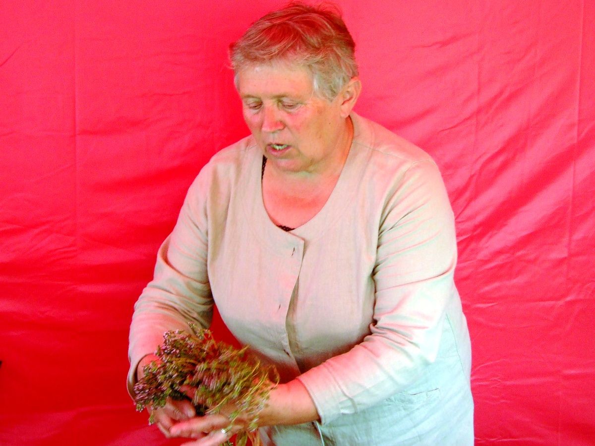 Bogumiła Naruszewicz