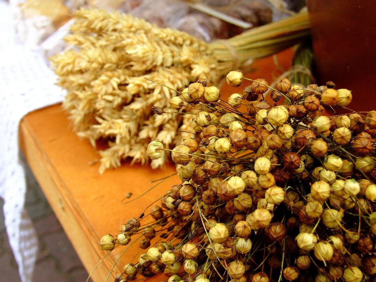 Tydzień z Powiatem - prezentacje wiosek tematycznych