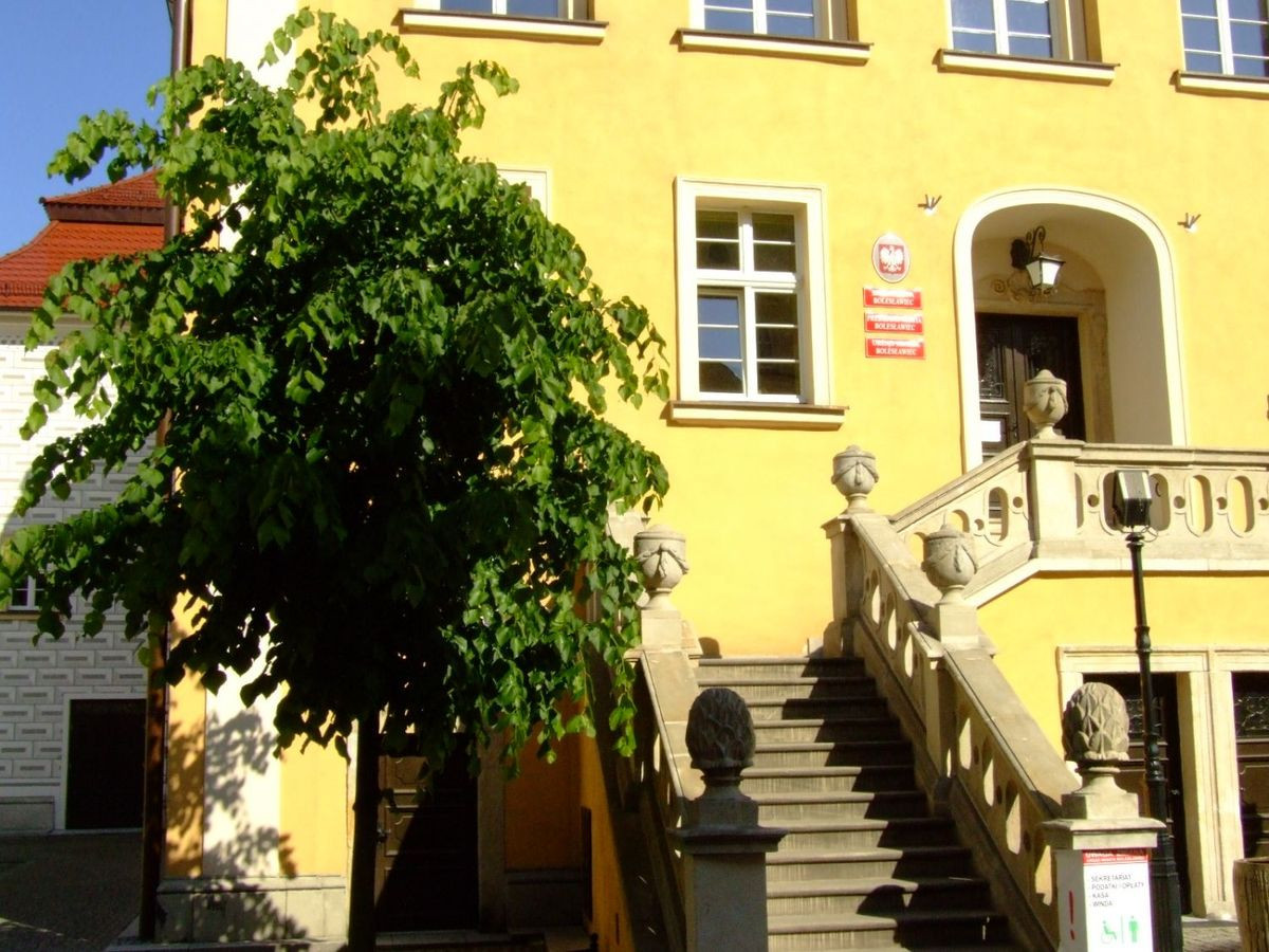 Rój pszczół na drzewie w Rynku