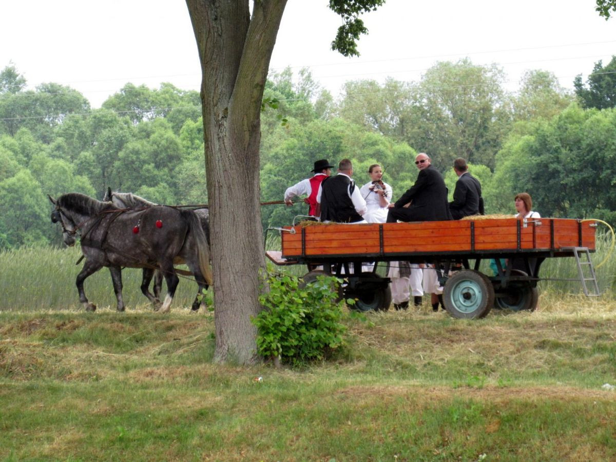 XI Bałkańska Fiesta