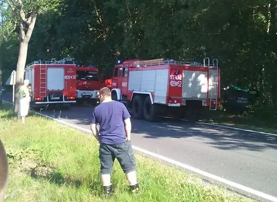 Auto wypadło z drogi koło Parowej