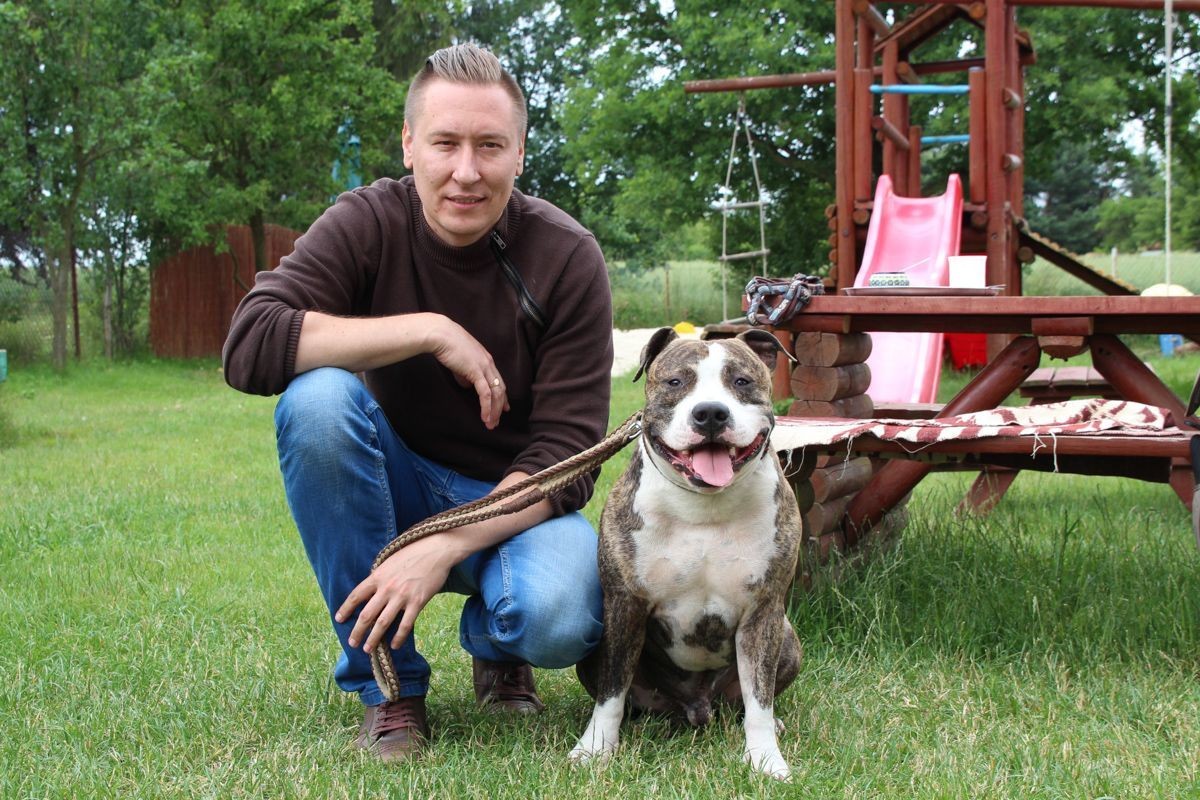 Amstaff w przedszkolu