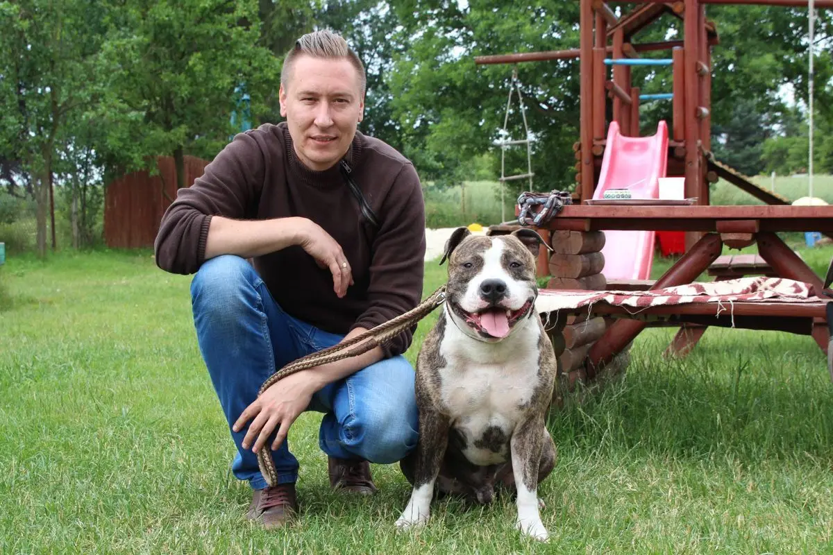 Amstaff w przedszkolu
