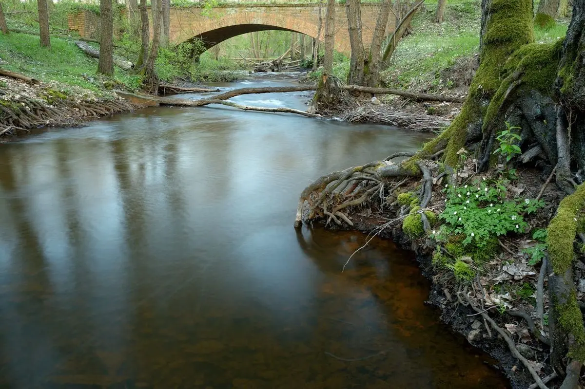 Nowoszów