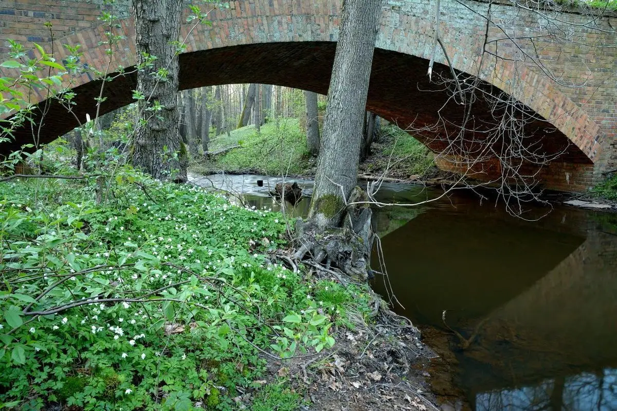 Nowoszów