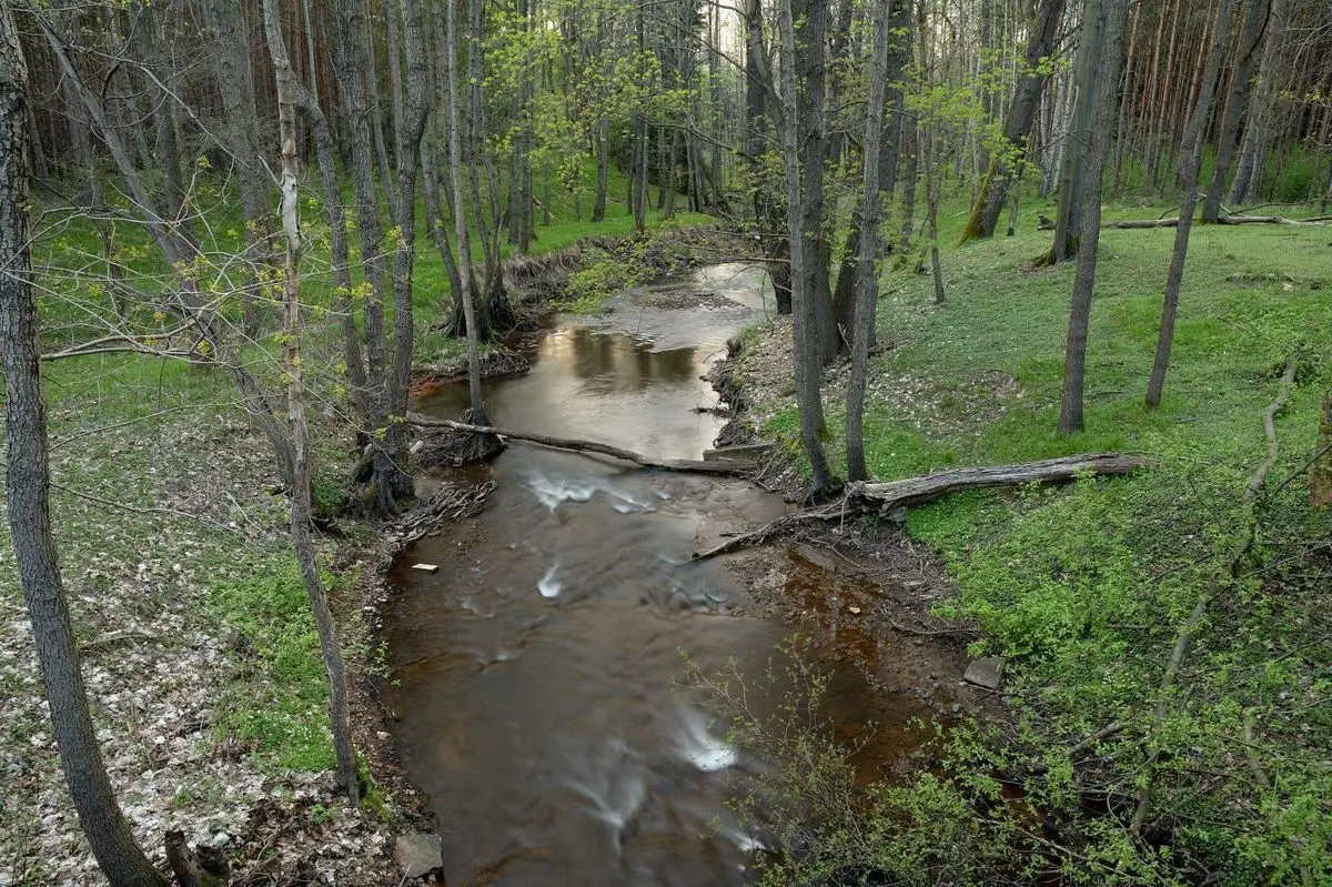 Nowoszów