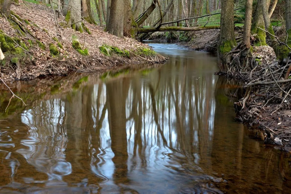Nowoszów