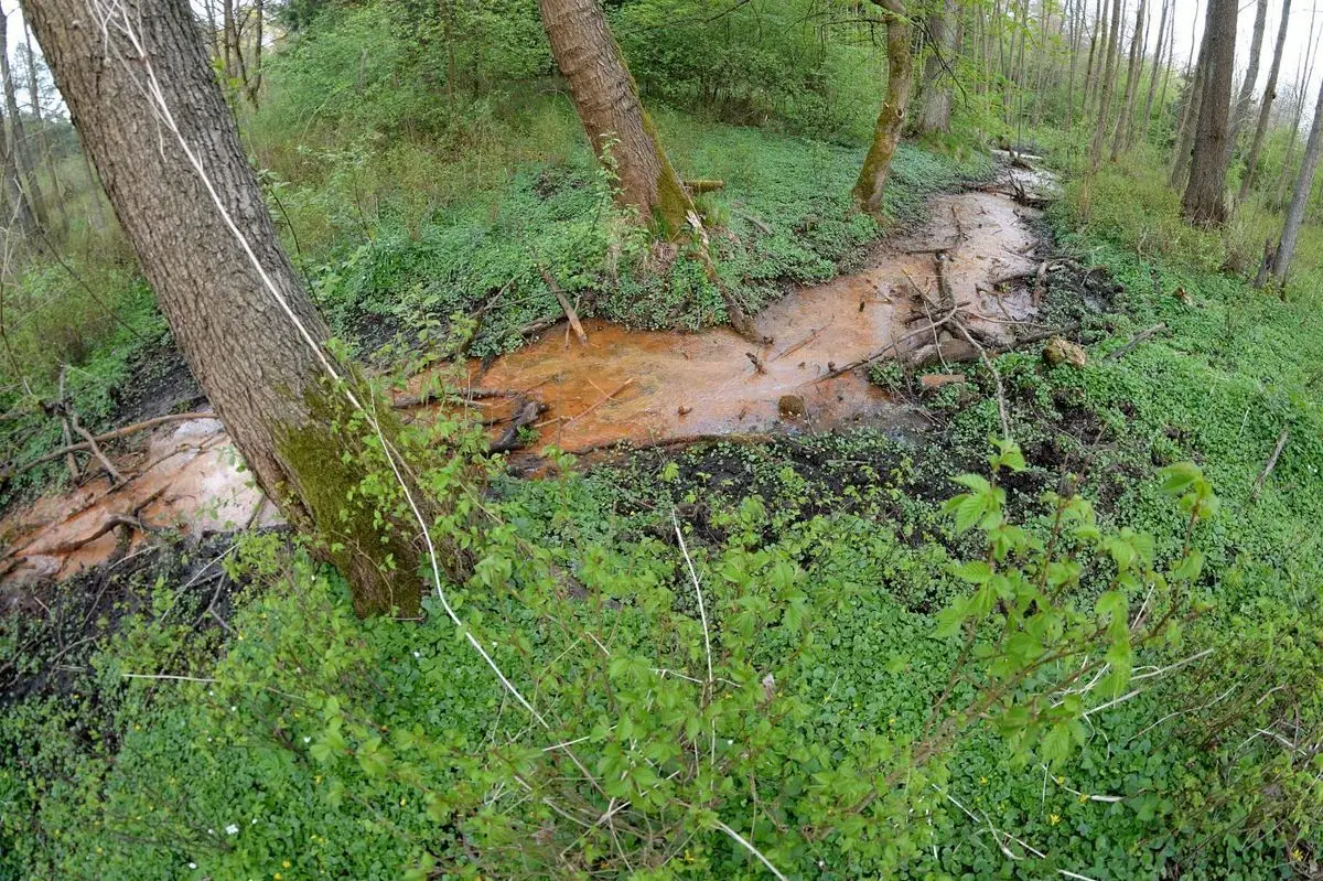 Nowoszów