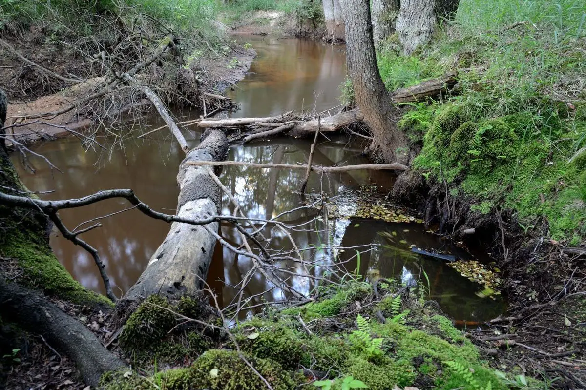 Nowoszów