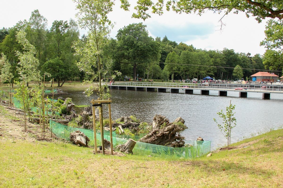 Otwarcie basenów przy ul. Jeleniogórskiej